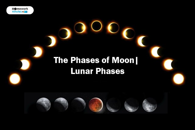 The Phases of the Moon| Lunar Phases Overview