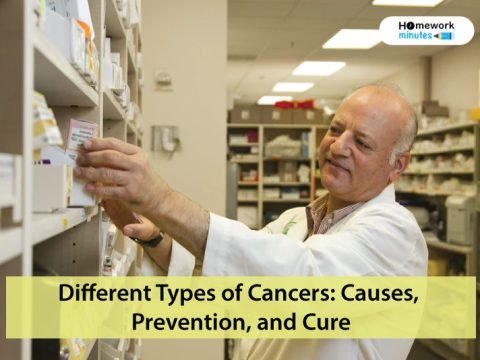 Different-Types-of-Cancers-Causes,-Prevention,-and-Cure