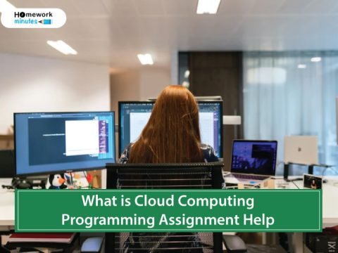 What-is-Cloud-Computing--Programming-Assignment-Help
