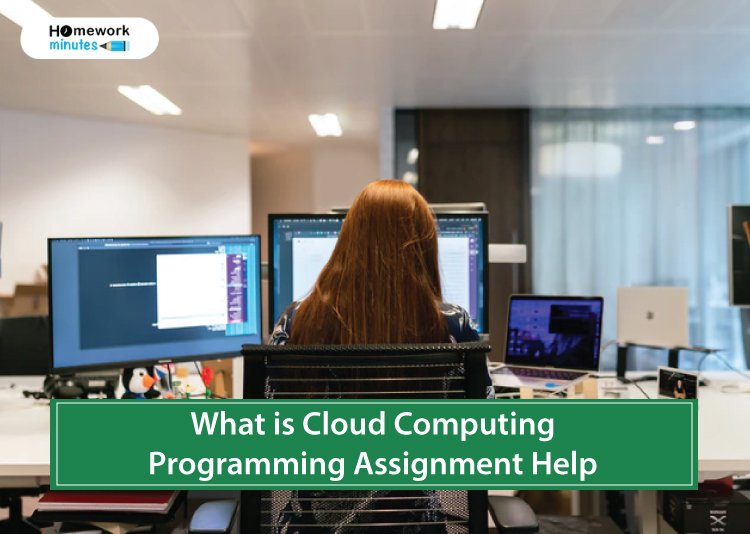 What-is-Cloud-Computing--Programming-Assignment-Help