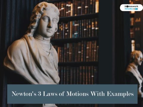Newton's-3-Laws-of-Motions-With-Examples