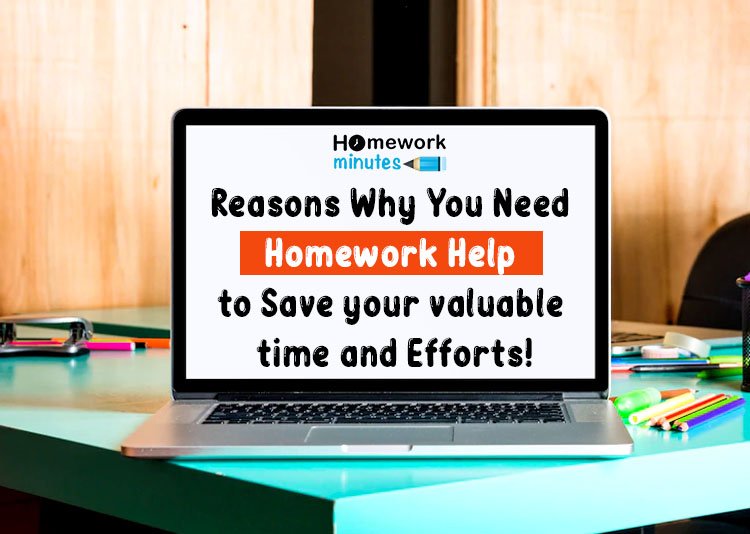 Reasons Why You Need homework help