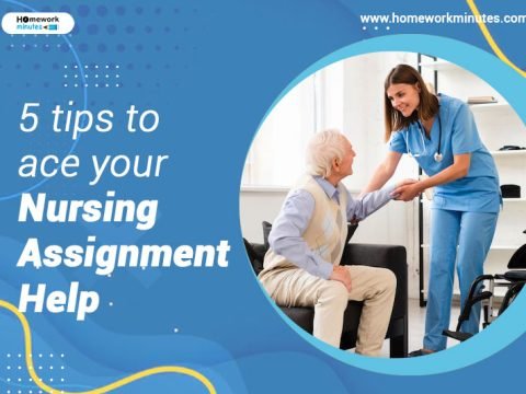 nursing assignment help