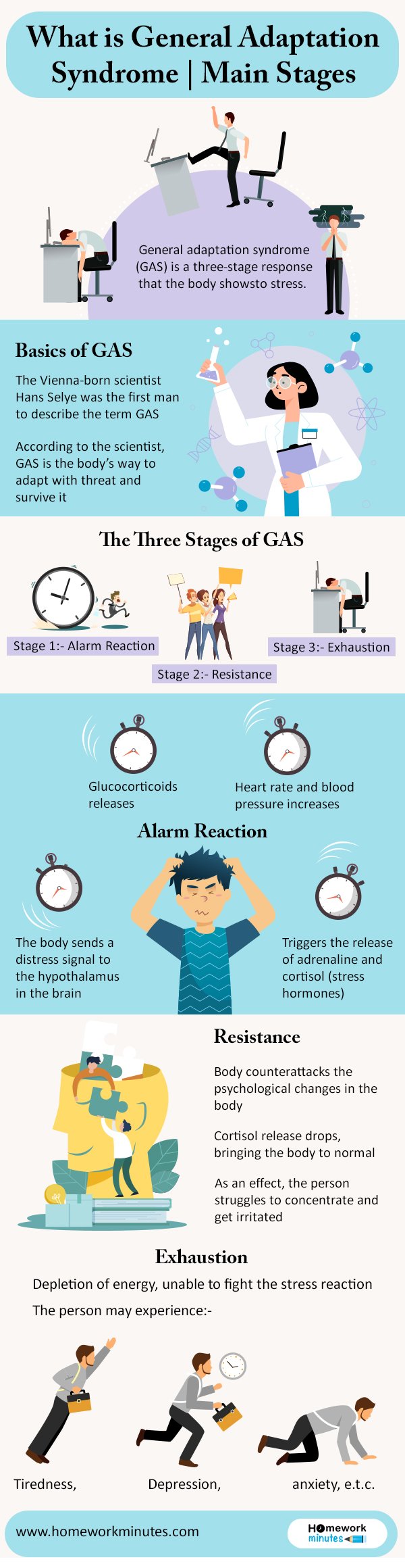 What is General Adaptation Syndrome Main Stages