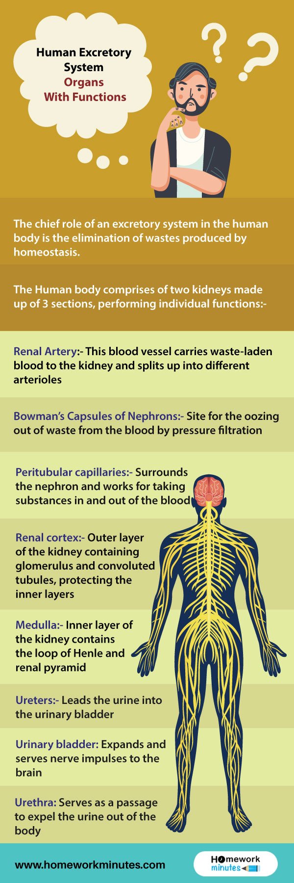 Human-Excretory