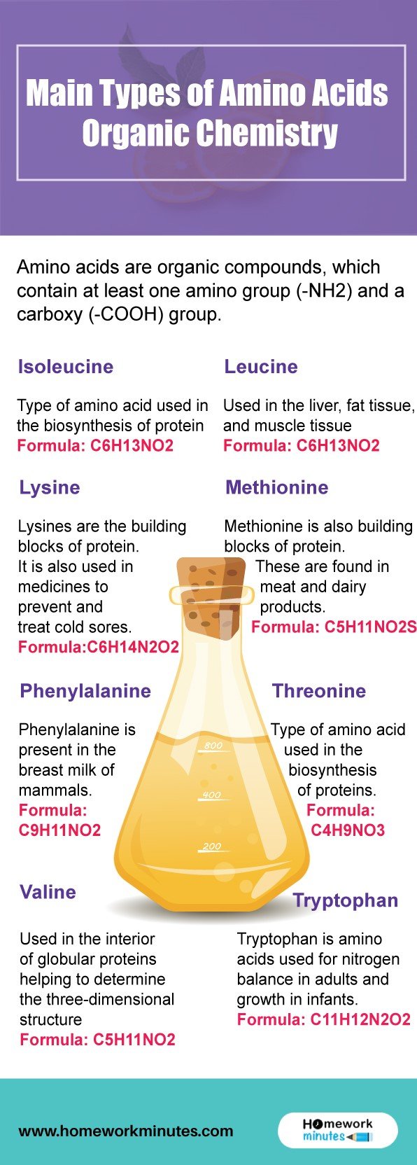 Main-Types-of-Amino-Acids