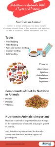 Nutrition-in-Animals-With-Types-and-Process (1)